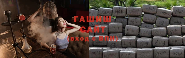 гашик Алексин