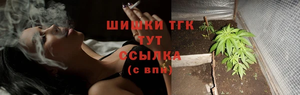 соль ск Абаза