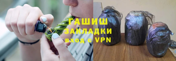 гашик Алексин