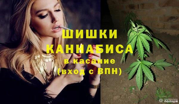 соль ск Абаза