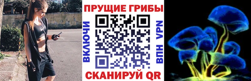 Псилоцибиновые грибы мухоморы  Клинцы 