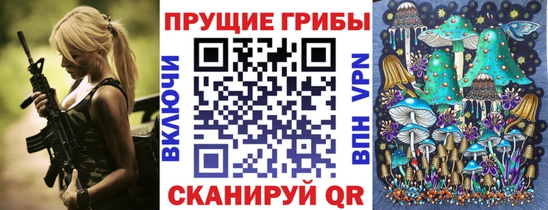 Псилоцибиновые грибы Psilocybine cubensis Клинцы